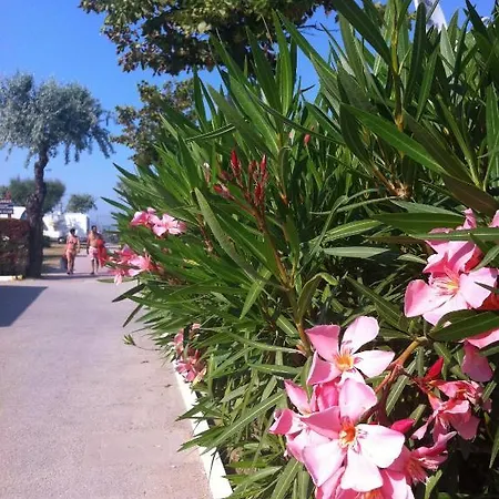 Happy Camping Village Bellaria-Igea Marina